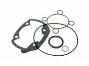 Dichtungssatz Malossi d=40mm,Minarelli liegend