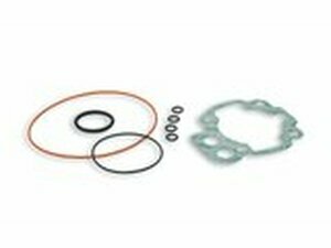 Dichtungssatz Malossi MHR Replica Minarelli AM6