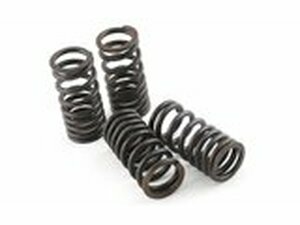 Ventilfedern Malossi Piaggio VX-R 200