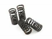 Ventilfedern Malossi Piaggio VX-R 200