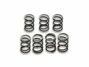 Kupplungsfedern (x7) Malossi Vespa Cosa / PXE 200cc