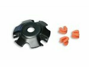 Steigscheibe Malossi Multivar Kurbelwelle glatt