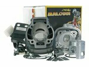 Zylinder Kit Malossi 70cc Piaggio Einspritzer, Runner Purejet