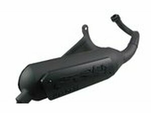 Auspuff Malossi Wild Lion Piaggio Zip