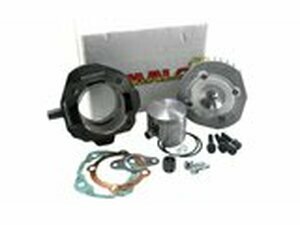 Zylinder Kit 112cc Malossi Grauguss Vespa V50 / PK 50cc