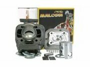 Zylinder Kit Malossi Sport 50ccm Minarelli stehend