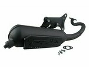 Auspuff Malossi Wild Lion, Aprilia Scarabeo, mit...