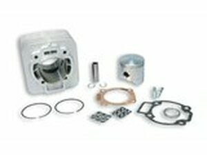 Zylinder Kit Malossi 172cc Piaggio Typhoon / Aprilia SR...