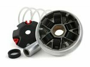 Variomatik Malossi Multivar Peugeot stehend / liegend