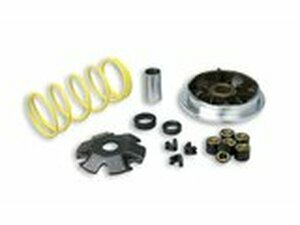 Variomatik Malossi MHR Multivar Suzuki Katana ab 1999 /...