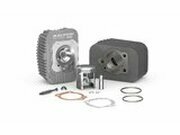 Zylinder Kit d.43mm 12mm Kolbenbolzen Malossi Grauguss...