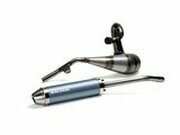 Auspuff Malossi MHR Replica Beta RR ab 2020