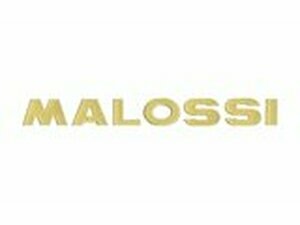 3D Sticker Malossi Gold 21cm