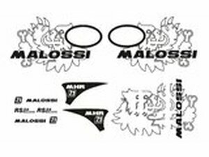Dekor Kit Malossi Trophy Vespa Primavera / Sprint