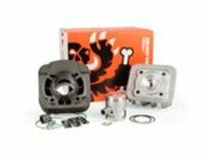 Zylinder Kit Malossi Sport 50cc Piaggio AC