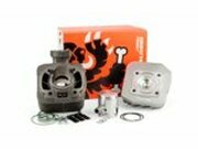 Zylinder Kit Malossi Grauguss 50ccm Peugeot stehend AC