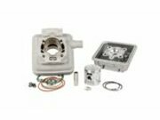 Zylinder Kit Malossi GP2 Replica 70ccm Peugeot 103 LC mit...