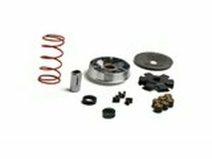 Variomatik Malossi Multivar MHR Piaggio Si