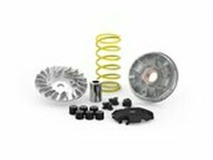 Variomatik Malossi Multivar 2000 Yamaha Delight 125