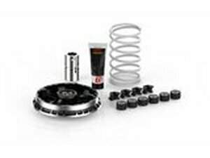 Variomatik Malossi Multivar 2000 BMW C 400 Euro 4 / 5