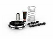 Variomatik Malossi Multivar 2000 BMW C 400 Euro 4 / 5