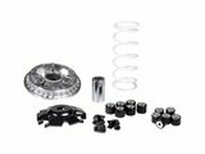 Variomatik Malossi Multivar 2000 Honda Forza 125 Euro 5