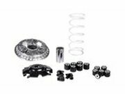 Variomatik Malossi Multivar 2000 Honda Forza 125 Euro 5