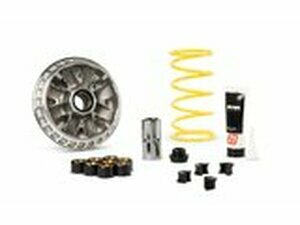 Variomatik Malossi Multivar 2000 Piaggio MP3 530