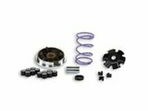 Variomatik Malossi Multivar Piaggio bis 1998