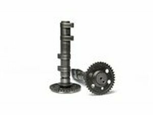 Doppel Nockenwelle Malossi Power Cam Yamaha Tmax 560