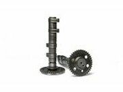 Doppel Nockenwelle Malossi Power Cam Yamaha Tmax 560