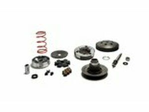 Antriebskit Malossi MHR Overrange Piaggio Si