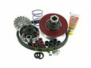 Antriebskit Malossi MHR Overrange La Furia Rossa Piaggio...