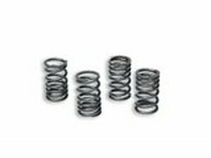 Kupplungsfedern Malossi Racing Minarelli AM6