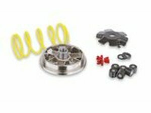 Variomatik Malossi Multivar PGO BigMax / T-Rex