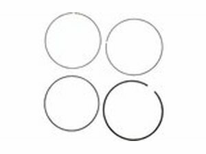 Kolbenringe Moose Racing FC / SX-F 450