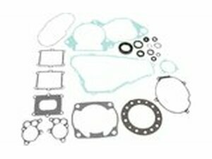 Dichtungssatz komplett mit Wellendichtringen Moose Racing...