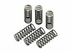 Kupplungsfedern Moose Racing YZF 250