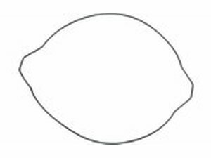 Dichtung Kupplungsdeckel Moose Racing YZ 250 ab 1999