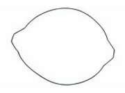 Dichtung Kupplungsdeckel Moose Racing YZ 250 ab 1999