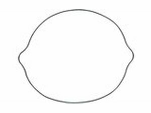 Dichtung Kupplungsdeckel Moose Racing RM 250