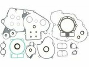 Dichtungssatz Motor komplett (mit Wellendichtringen)...