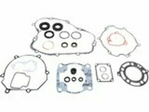 Dichtungssatz komplett inkl. Wellendichtringe Moose...