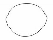 Dichtung Kupplungsdeckel Moose Racing YZF 450