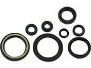 Wellendichtringe Kit komplett Moose Racing CRF 450 L