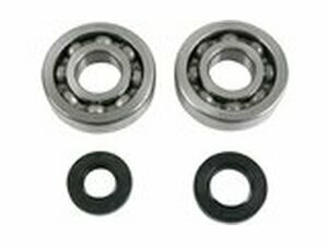 Lager + Wellendichtringe Kurbelwelle Moose Racing...