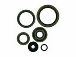 Wellendichtringe Kit Moose Racing SX / EXC 250