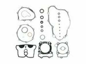 Dichtungssatz Motor komplett (mit Wellendichtringen)...