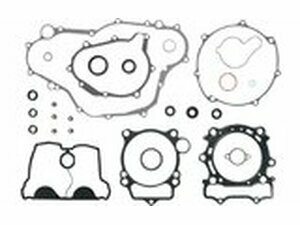Dichtungssatz Motor mit Wellendichtringen Moose Racing...