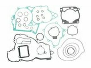 Dichtungssatz Motor komplett Moose Racing TE 250
